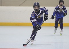 View Gallery