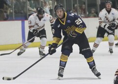 Josh Whitston-Lee, Team, NZIHL, jersey 29